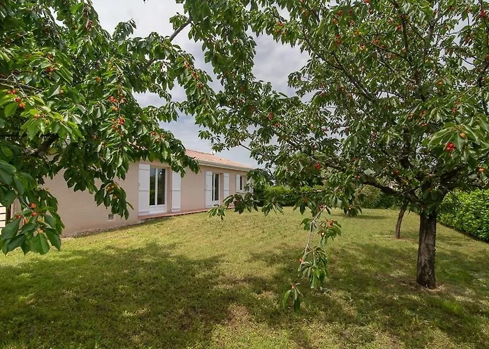 Gite Le 31 Bis, En Centre Ville Avec Jardin.