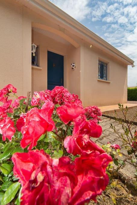 Holiday home Le 31 Bis, En Centre Avec Jardin. *